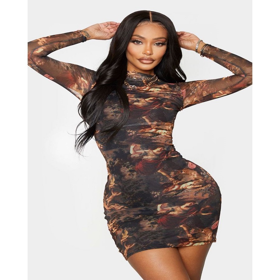 Mesh Bodycon Dress