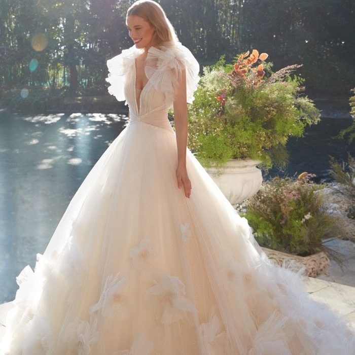 princess wedding dress